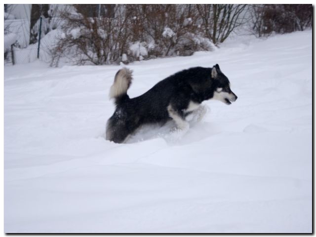 080 Februar 2010 208.jpg